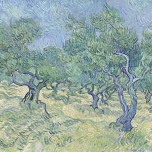Van Gogh Uliveto