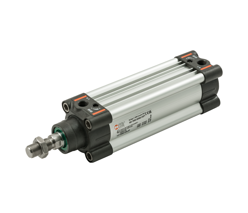 Ampliamento gamma: Cilindri ISO 15552 Serie BTY